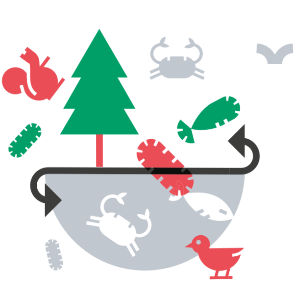 Illustration d'une biodiversité placée sous les pas de l'Homme